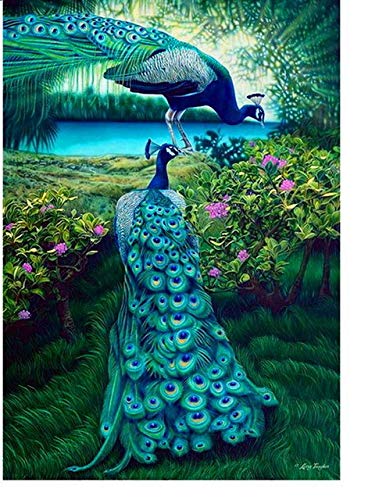 Homely 5d Diamond Mosaic Diy Diamond Painting Crystal Peacock 3d