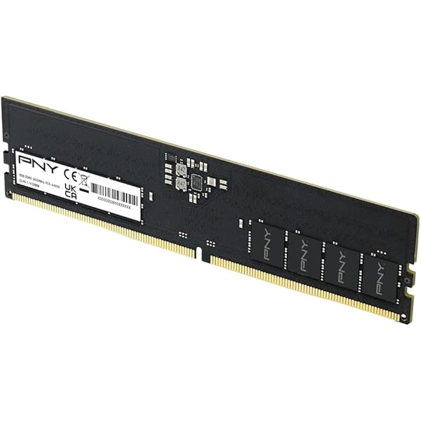 Amazon.com: Patriot Signature DDR5 RAM 16GB (2X8GB) 5600MHz CL46