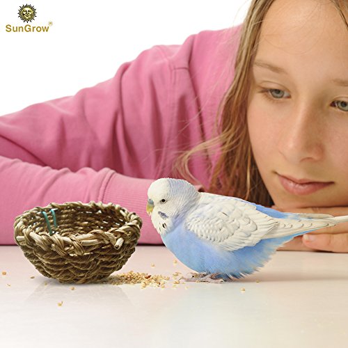 image for SunGrow Natural Seagrass Cup Shaped Bird Nest, Lets Your Bird Feel Coz