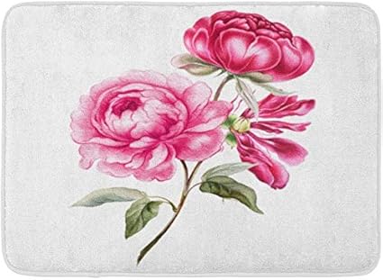 AoLismini Fußmatten Badteppiche Outdoor/Indoor Türmatte Aquarell