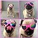 Pet Dog Sunglasses Water-Proof Multi-Color Protection Goggles Updated Version (B)