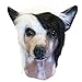 Off the Wall Toys Chinese Crested Dog Costume Face Mask Kennel Club