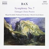SYMPHONY 7 / TINTAGEL                              image