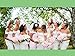 FAYBOX Handmade Bridal Silk Flower Hair Clips With Beads and Simulated Pearl Wedding Bridesmaid Accessories