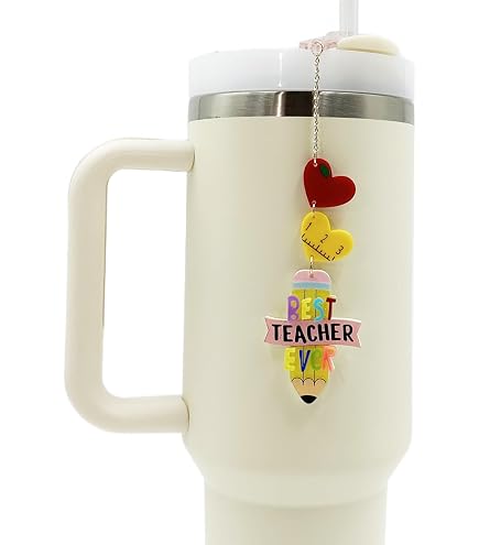 SOUTHERN SUPPLY Chaos Coordinator Topper Tag For Stanley Tumblers – Teacher Gift, Tumbler Accessory