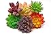 Oasis Cresta | Set of 6 Pieces Artificial Succulent Plants | Faux Plastic Succulent - Unpotted | Fake Cactus Plants for Indoor & Outdoor Home Decor, Wreaths, Bouquets, and Centerpieces