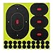 Birchwood Casey Shoot-N-C 9-Inch Oval Silhouette Targets (Pack of 5)