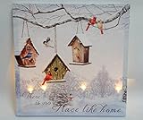 OSW Bird House Winter Scene LED Art Canvas 