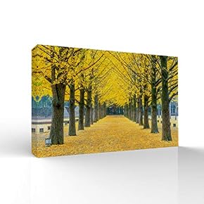Quiet Romantic Forest Home Artwork for Living Room Bedroom