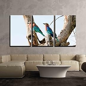 3 Piece Canvas Wall Art - Two Lilac Breasted Rollers on a Tree - National Park Masai mara in Kenia - Modern Home Art Stretched and Framed Ready to Hang - 16"x24"x3 Panels