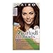 Clairol Natural Instincts Hair Color 30 Rosewood Dark Auburn Brown 1 Kit (Pack of 3)