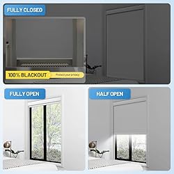 Motorized Blinds with Remote, [Free Solar