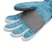 SimpliKids Boys Waterproof 3M Thinsulate Winter Ski & Snowboard Gloves, L,Blue