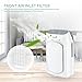 Electric Dehumidifier, iSiLER Portable Dehumidifier with 2L(4.2 Pints) Water Tank, Electric Mini Dehumidifier for Bathroom, Auto Shutoff Ultra Quiet Dehumidifier for Basement, Kitchen, Bedroom, Closet