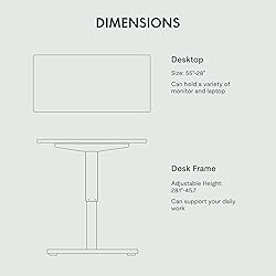FLEXISPOT EN1 One Piece Standing Desk, 55 x 28 Inch