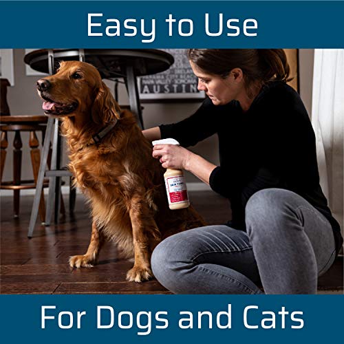 Wondercide Skin Tonic Hot Spot & Itch Relief Spray for Dogs and Cats