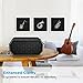 Bluetooth Speakers, ToHayie Wireless Bluetooth Speakers with 1000mAh Battery, 66- Foot Bluetooth Range & Built-in Mic for iPhone, Samsung and More (Black)