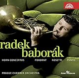 HORN CONCERTOS                                     image