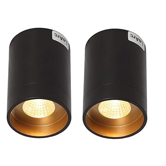 Buy Learc Designer Lighting Metal Led Ceiling Light Surface Clear