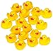 Kangaroo's 18 Piece Rubber Duck Baby Bath Toy in a Bucket