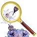 cnomg 3.5X Magnifying Glass Rosewood Handheld Magnifier Jewelry lens Loupe Perfect Viewing Coin, Reading, Insect, Hobby, and Observation Classroom Science 2.6'' Dia
