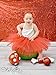 Red Dance or Ballet Tutu, One Size