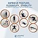 LifePro - Premium Slides and Bands Equipment with Home Exercise Videos & eBook (Loops and Sliders Set)