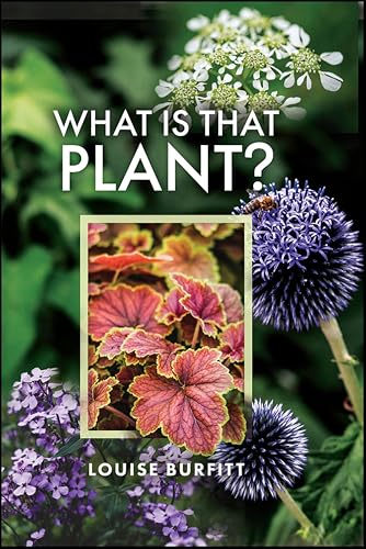 What is that Plant? (English Edition)