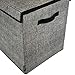 Toy Chest and Storage Box | House Organization Products | Toy Organizer Bins and Toy Bin Organizer for Tots Toys | Girls Toy Box or Boys Toy Box | Kids Room Storage or Living Room Storage (Dark Gray)