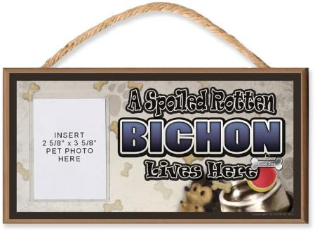 Clear Photo Pocket Sign - Bichon "A Spoiled Rotten Bichon Lives Here" Sign. Features Clear Pocket to Insert Your Dogs Photo - includes Bonus Novelty Man's Best Friend 9 Dollar Bill