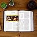 The Great Adventure Catholic Bible