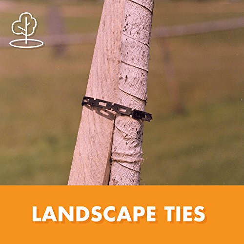 EasyFlex 11002 FirmFlex Chain Lock Tree Tie, 100 Foot, Black Pricepulse