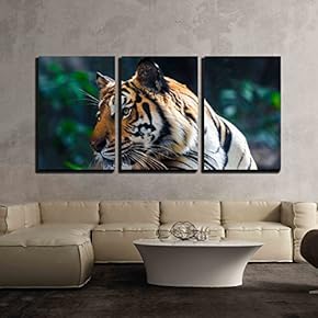 3 Piece Canvas Wall Art - Tiger - Modern Home Art Stretched and Framed Ready to Hang - 16"x24"x3 Panels