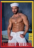 Raging Stallion 2018 by