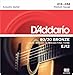 D'Addario Acoustic Guitar Strings - 80/20 Bronze - For 6 String Guitars - Deep, Bright, Projecting Tone - EJ12 - Medium, 13-56