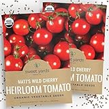 Organic Matt’s Wild Cherry Tomato Seeds – Two