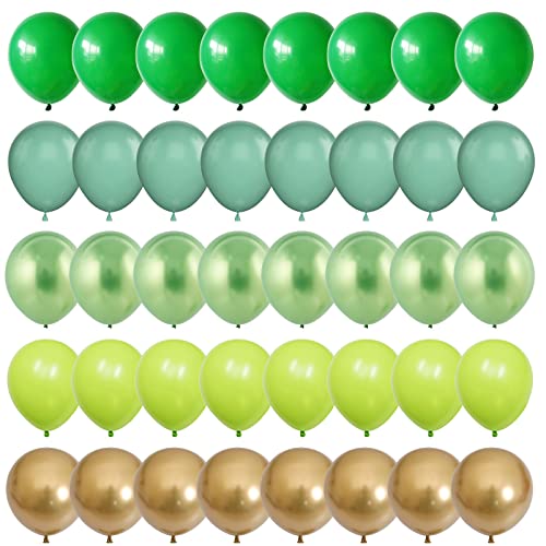 Sage Green Gold Balloons - 60 Pack, 12 Inch, Assorted for Wedding, Birthday, Baby Shower, Jungle Safari Party