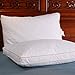 Set of 2, Down and Feather Pillow with 2