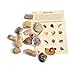 Fossil Collection Kit - Contains 15 Genuine Fossils! Pack of 1