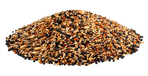 PANTO Kanarienfutter mit Pluramin, 5x1kg - Ziervogelfutter aus bunter Saatenmischung, Vogelfutter ohne Nüsse – Bild 3