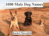 1000 Male Dog Names