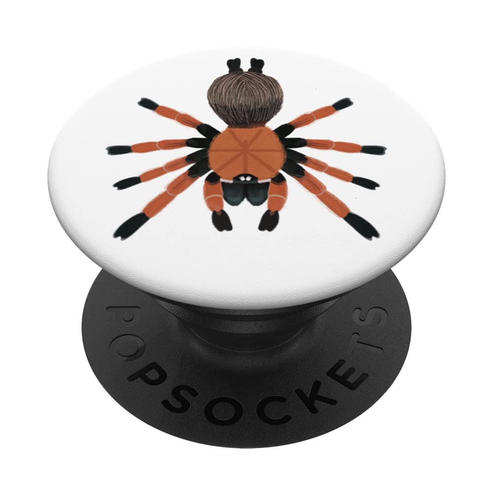 Aphonopelma Bicoloratum - Mexican Spider Tarantula PopSockets Swappable PopGrip