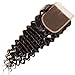 Beauty Forever Brazilian Deep Wave Hair Closure 100% Unprocessed Human Hair Deep Wave 4x4 Free Part Lace Closure Can be Dyed and Bleached (12’’ closure)
