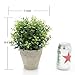 Velener Artificial Grass Faux Plants Indoor - Square Topiary Small Fake Plant for Home Decor Indoor Window Sill Plant Shelf Desk Decorations for Women Office Cubicle Sage Green Bathroom Accessories