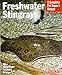 Freshwater Stingrays (Complete Pet Owner's Manuals) by Richard Ross M.D.
