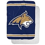 Montana State University Primary Logo Stripes