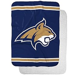 Montana State University Primary Logo Stripes