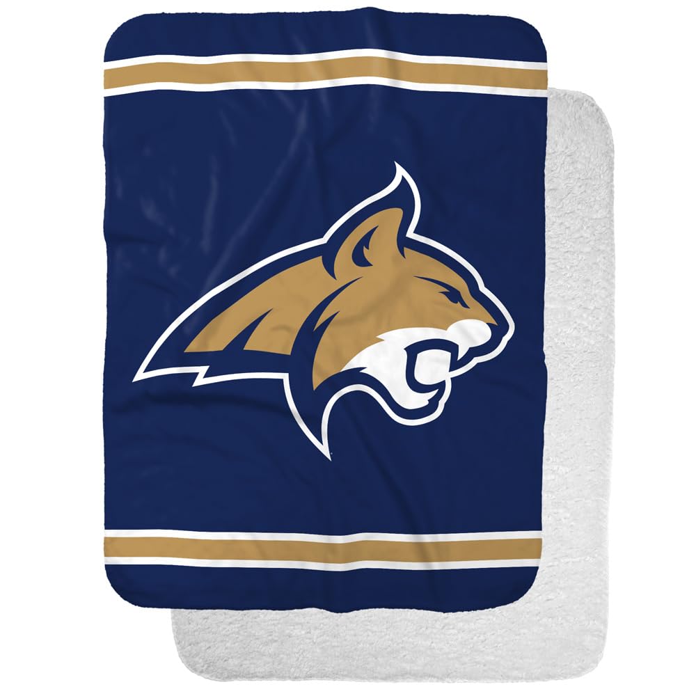 Montana State University Primary Logo Stripes