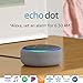 Echo Dot (3rd Gen) - Smart speaker with Alexa - Heather Gray