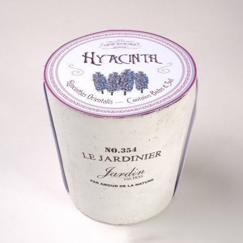 Maison Hyacinth Blue Pot Bulb Kit, Grow Your Own Gift Set Amazon.co.uk